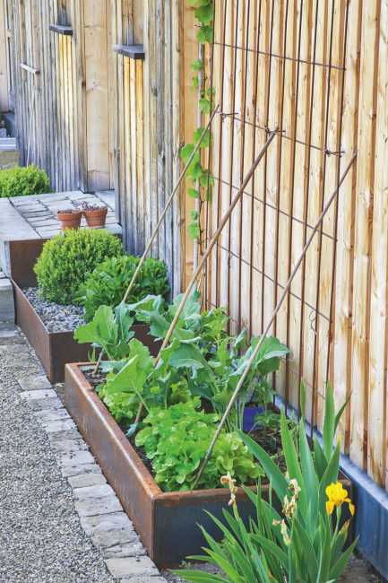 Jardinage : que faire en mars au potager ?