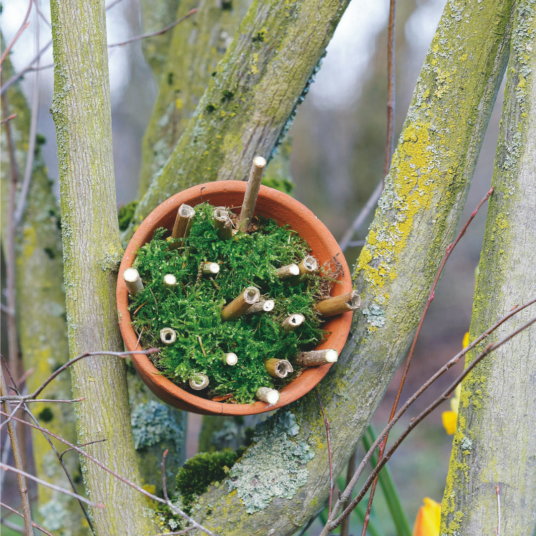 Jardinage : comment transformer de vieilles poupées en pots de