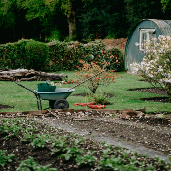 Que faire au potager au mois de juillet ?