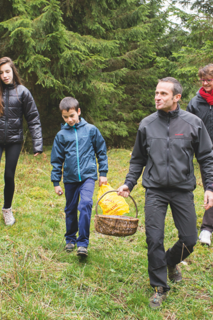 Ramasser des champignons en famille