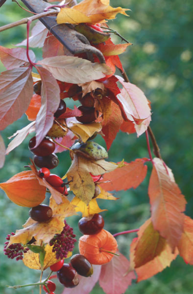 La-déco-d'automne