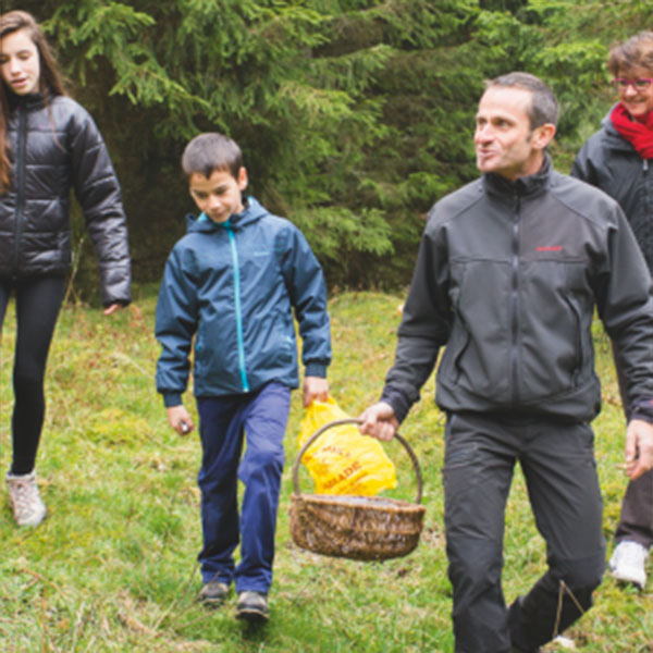 Cueillette en forêt : à la découverte des champignons