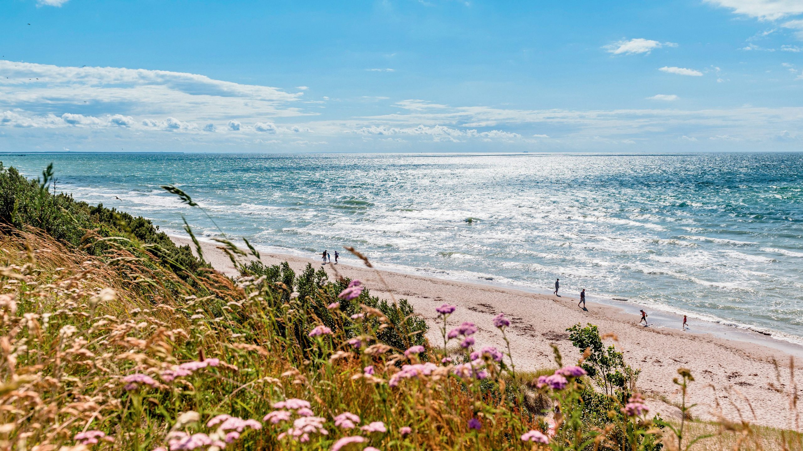 Отдых в балтийском море. Балтийская коса. Отдых в балтийском море. Балтийское море летом. Балтийское море у берегов польши.