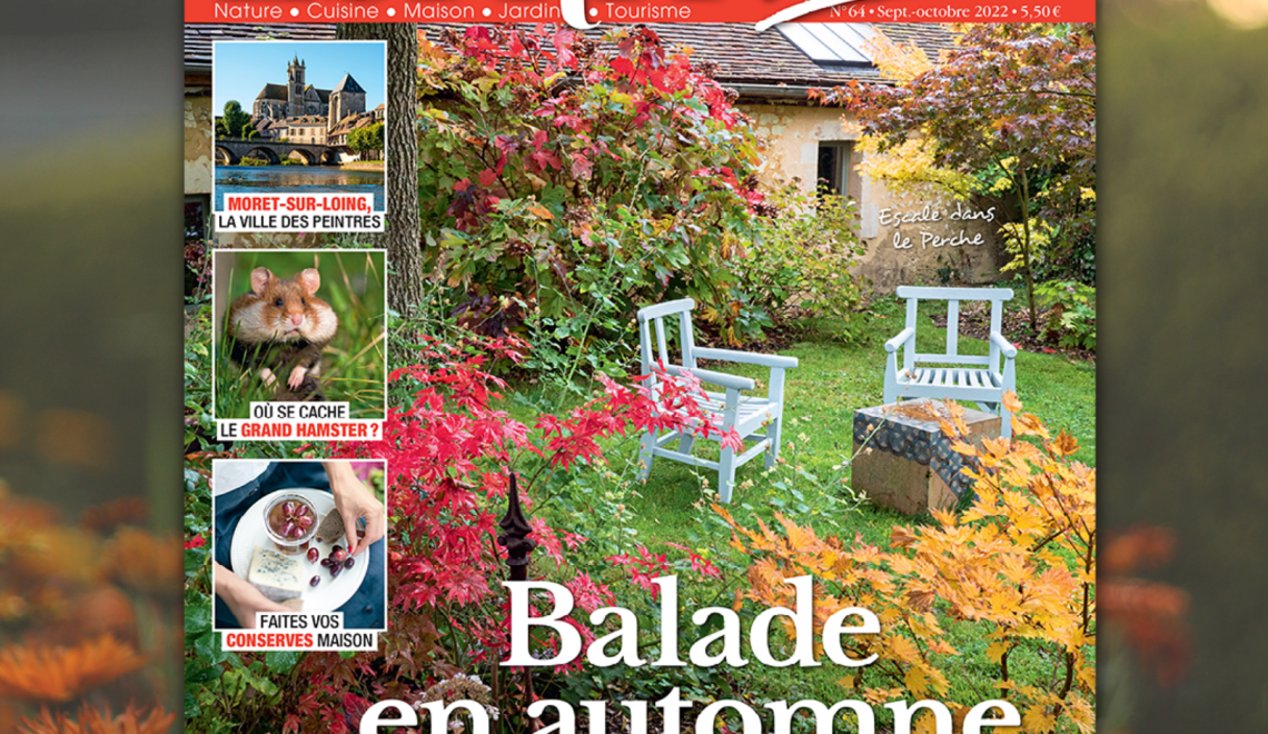 Esprit d’Ici n°64 : Balade en automne !
