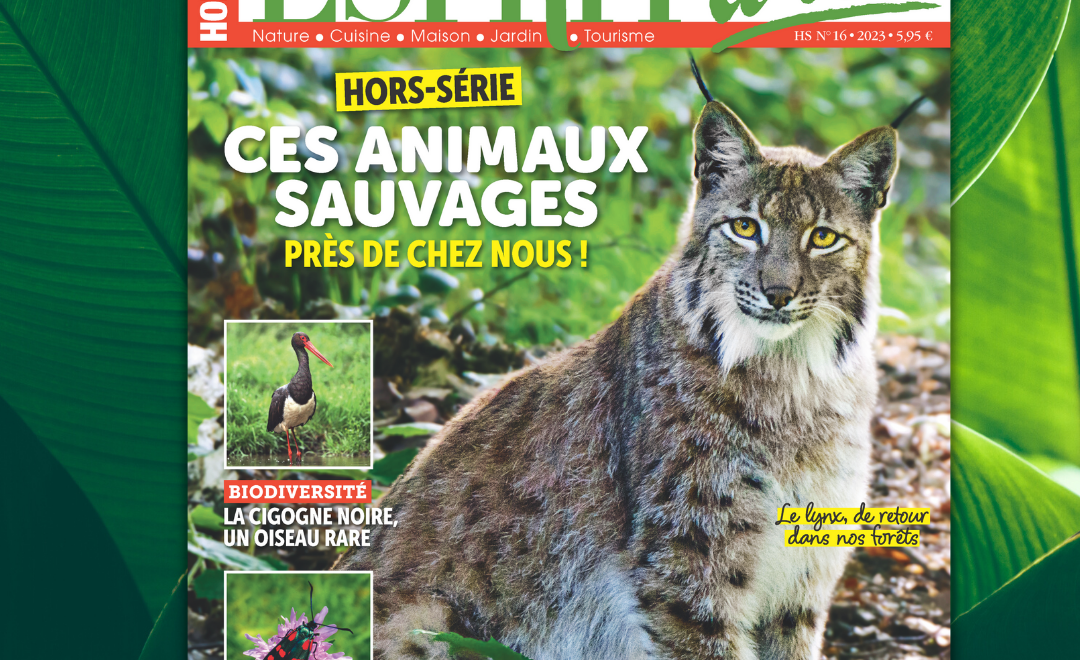 Hors-série Esprit d’ici spécial Animaux sauvages